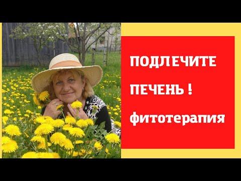 Подлечите ПЕЧЕНЬ !!!