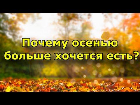 Почему осенью больше хочется есть и как не переедать в холода?