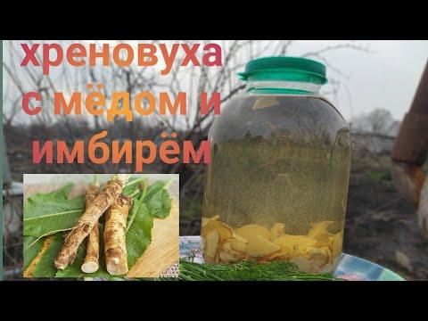 Хреновуха с мёдом и имбирём.