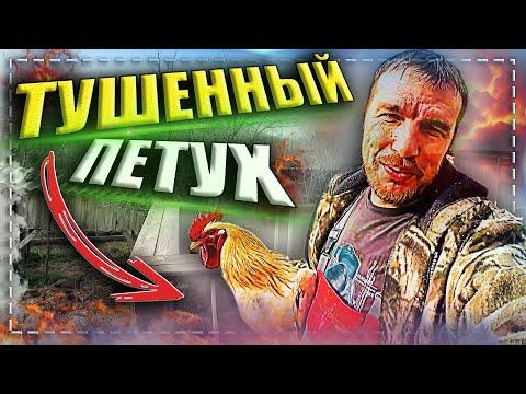 Тушенное мясо из домашнего петуха с гарниром. Деревенский влог.