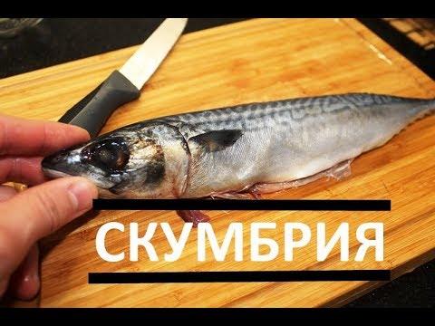 КАК ВКУСНО ПОЖАРИТЬ СКУМБРИЮ #РЕЦЕПТ