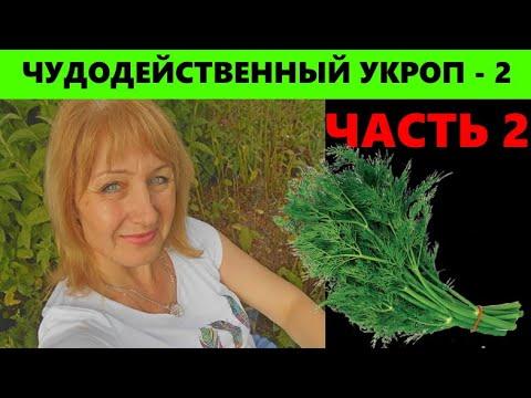 УКРОП - 2. ЭТУ ЧАСТЬ УКРОПА ВЫ ЕЩЁ ТОЧНО НЕ ЕЛИ.....