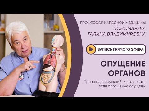 ⚡️ЭФИР: ОПУЩЕНИЕ ВНУТРЕННИХ ОРГАНОВ⚡️