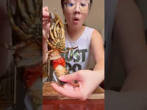 lobster gede jdi kecil