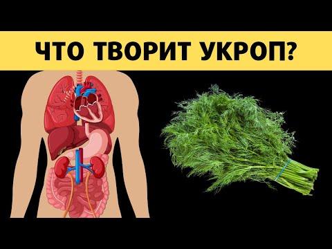 Всего один пучок УКРОПА и организм как у младенца