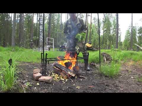 21 06 2024. Проверка живучести солонцов. окучал картошку.