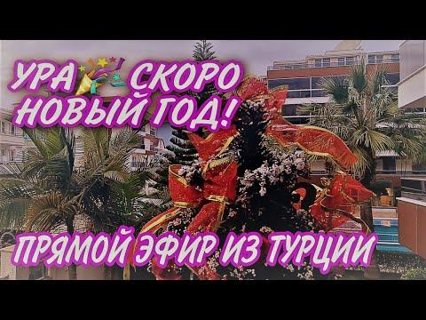 УРА! Скоро Новый Год. Последний в этом году прямой эфир из Турции.