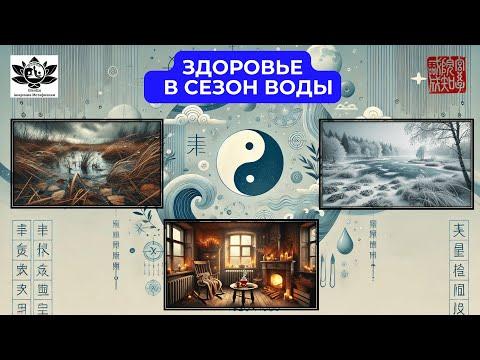 Здоровье в сезон воды. Ноябрь, Декабрь, Январь. Запись прямого эфира