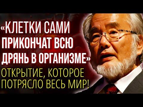 ЭТОТ МЕТОД СПАС МИЛЛИОНЫ! Гениальный Ученый Есинори Осуми и Его Метод Голодания