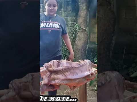 legítimo costelao raiz assado com lenha da mata,um espetáculo!