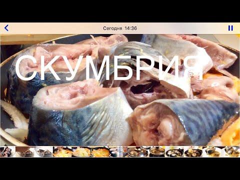 Скумбрия на овощной подушке