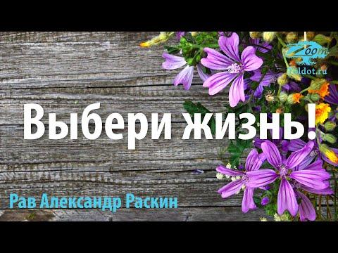 Выбери жизнь! Рав Александр Раскин