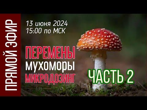 МИКРОДОЗИНГ МУХОМОРА