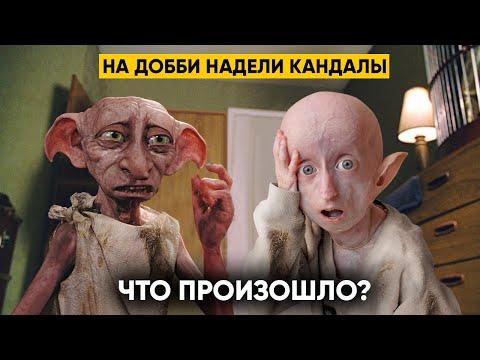 НА ДОББИ НАДЕЛИ КАНДАЛЫ. ЧТО ПРОИЗОШЛО? Особенный подарок для Ани.