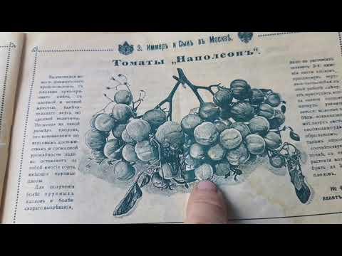 "Просим ПРОЩЕНИЯ, но семян больше не будет.." 1917 год в жизни семеноводческих торговых домов РОССИИ