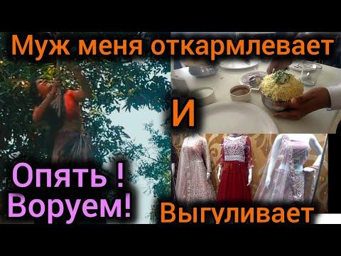 Воруем и быстро заметаем следы! Хочу бириани и не хочу домой.