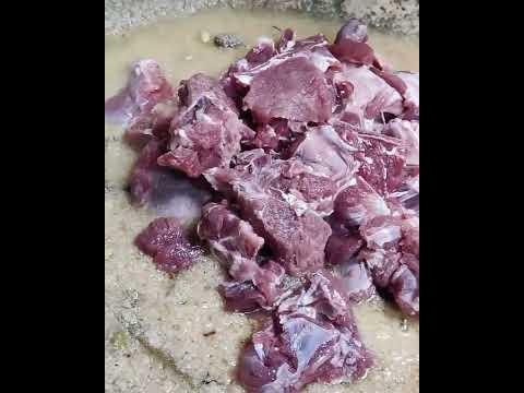 Mutton Taar  Ka Korma | रामपुर का फेमस तार का कोरमा | Taar Korma | Rampur Ka Famous Taar Korma