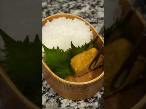 【お弁当作り】お弁当生活３年目突入！    #Shorts #お弁当