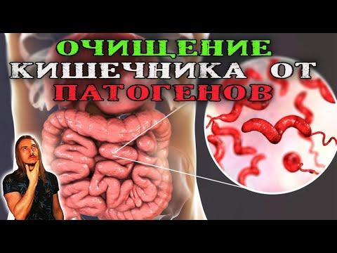 Очищение кишечника, квашеная капуста - прощайте, патогены!