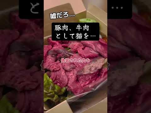 「やばすぎ」中国で豚肉や羊肉の代わりに［猫］を…