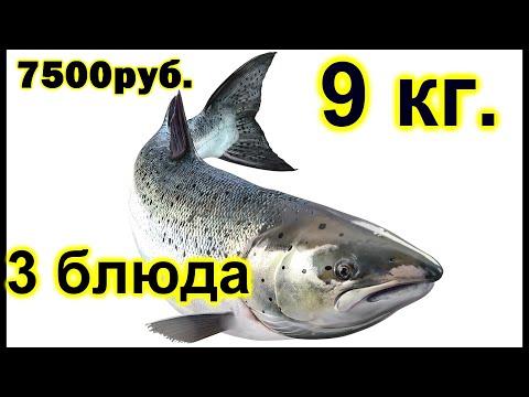 3 Вкуснейших блюда из Сёмги! Шашлык отменяется!