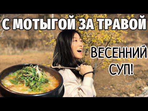 ВЕСЕННИЙ СУП НА КОРЕЙСКОЙ ДАЧЕ! Ингредиенты прямо с поля!