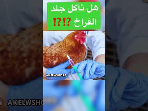 هل تأكل جلد الفراخ ⁉️⁉️