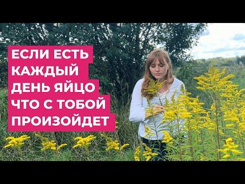 Что с тобой произойдет если есть яйцо каждый день