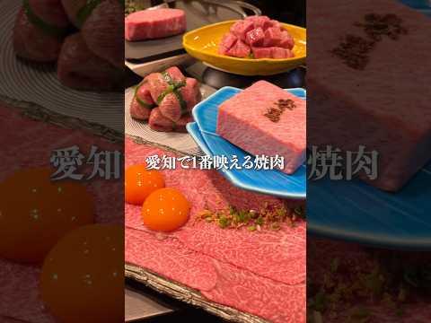 愛知で1番映える焼肉が凄い