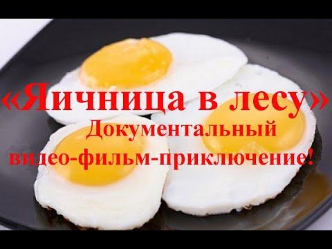 Яичница в лесу