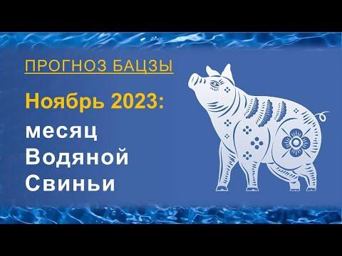 Прогноз Бацзы на ноябрь 2023