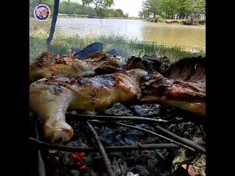 Improvisar en el campo es genial