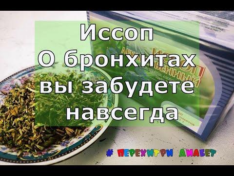 Иссоп. О бронхитах вы забудете навсегда