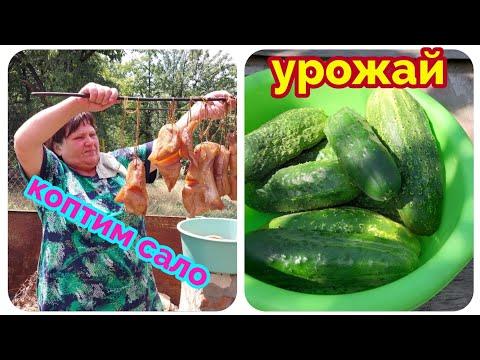 переезд на Юг/разругались из за сала/делаю рыбный фарш и котлеты