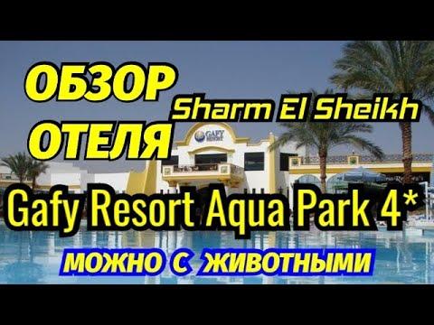 Подробный  Обзор Gafy Resort Aqua Park 4* Шарм-эль-Шейх Можно с Животными