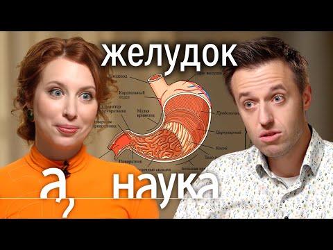 Откуда у нас изжога, ожирение, несварение и глисты? Доктор Сергей Вялов про желудок