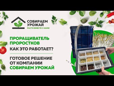 Проращиватель проростков ︱ Как это работает? ︱ Готовое решение от СОБИРАЕМ УРОЖАЙ