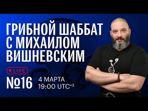 Грибной шаббат с Михаилом Вишневским №16. Почему грибы всё умеют