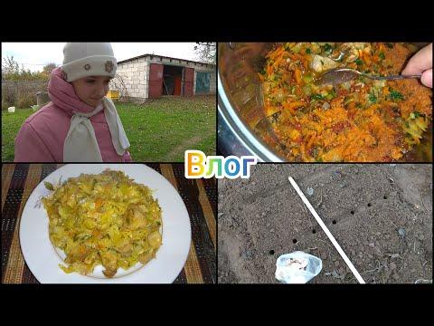 Сделали прививку Сажаю чеснок и лук Тушу капусту с мясом