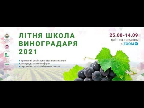 Літня школа виноградаря 2021. День 3