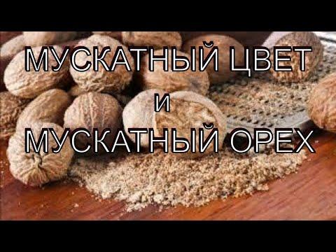 пряность Мускатный цвет и Мускатный орех #мускатныйцвет #мускатныйорех #EremeeValeriy #чЁбысъЕсть?