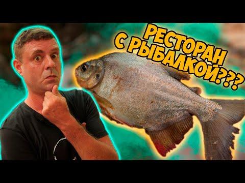 Ресторан с рыбалкой?