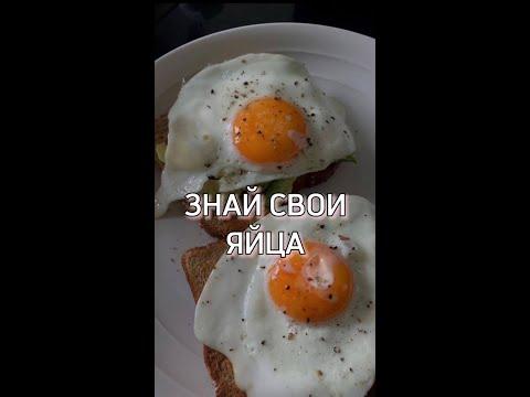 Когда не знаешь, что приготовить из яиц