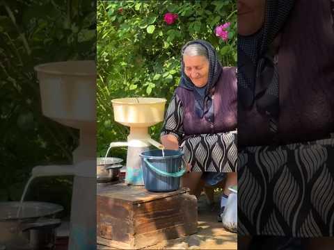 Chicken Breast Dessert With Milk by Grandma @Our_rural_life